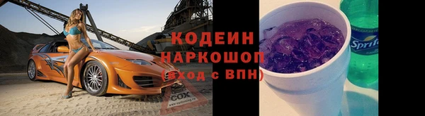 эйфоретик Карпинск