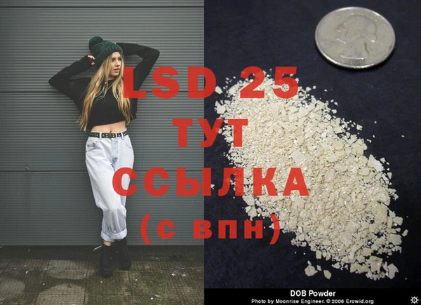шишки Касимов