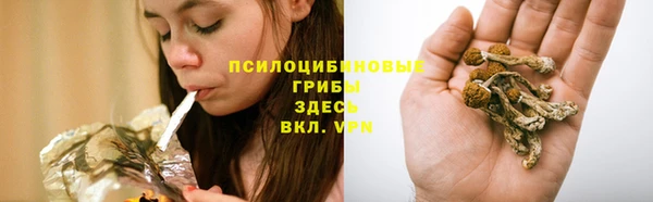 шишки Касимов