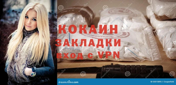 шишки Касимов