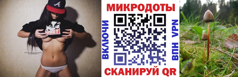 Купить закладки  Енисейск  Псилоцибиновые грибы ЛСД 